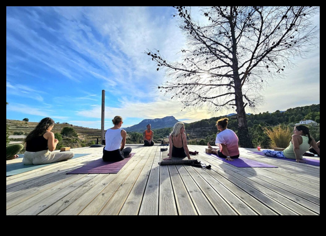 Vinyasa Vistas: Yoga'da Meditasyonun Manzaralı Yolunda Seyir