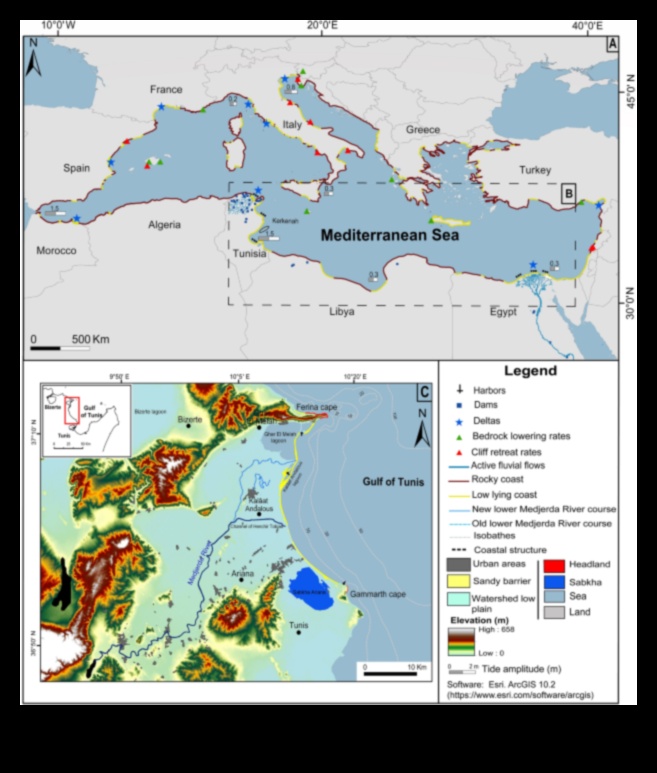 Kıyı alanları neden kirliliğe ve yaşam alanlarının tahribatına karşı savunmasızdır?